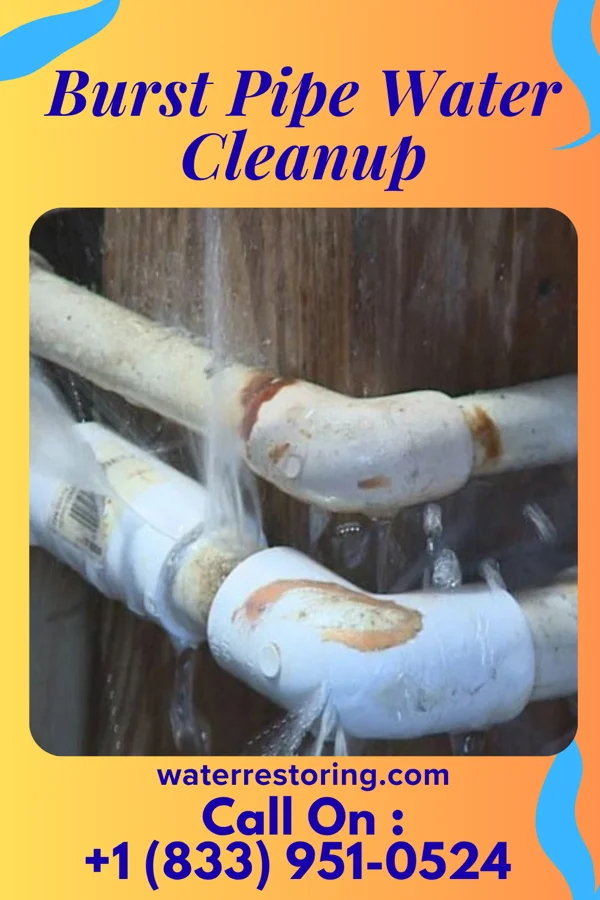 Burst Pipe Water Cleanup in Hayesville, IA