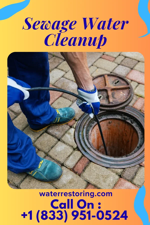 Sewage Water Cleanup in Hayesville, IA
