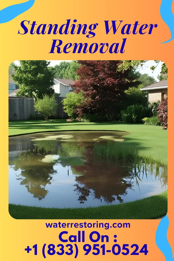 Standing Water Removal in Hayesville, IA